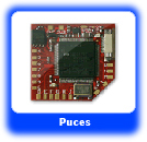 Puces