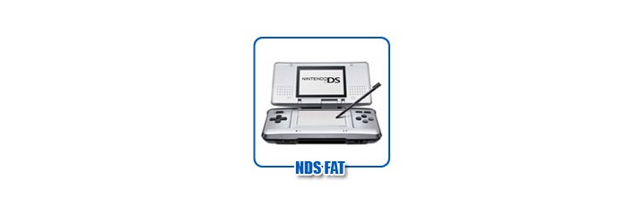 Nintendo DS Fat